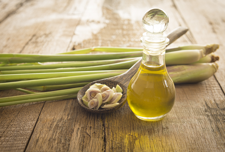 Lemongrass