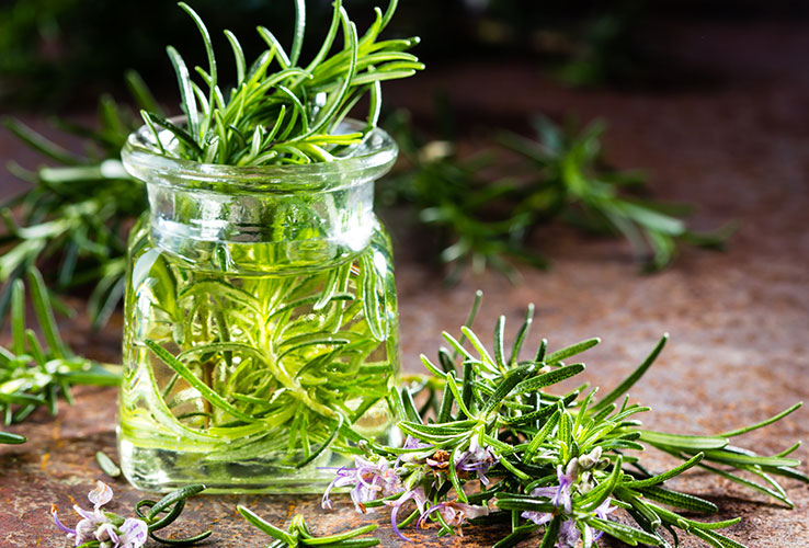 rosemary